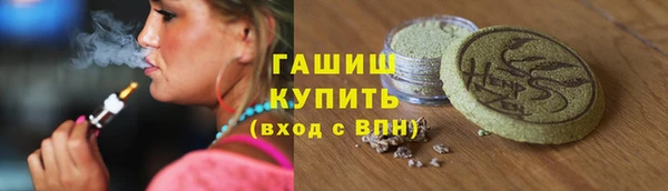 прущие грибы Верея